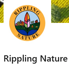 Rippling Nature logo